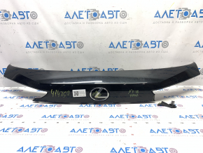 Lexus NX300 NX300h 18-21 Trunk Door Trim with Emblem, Broken