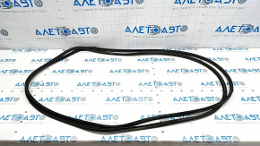 Audi Q7 4L 10-15 panorama seal on the body