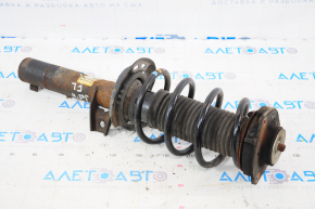 Shock absorber strut assembly front left VW Jetta 11-18 USA d55mm rusty