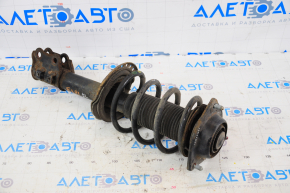 Shock absorber strut assembly front left Hyundai Elantra UD 11-16 rusty