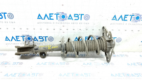 Shock absorber strut assembly rear left Jeep Renegade 15-18 AWD Trailhawk