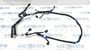 Toyota Venza 21- Rear Bumper Wiring