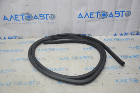 Door seal front left Nissan Leaf 18-
