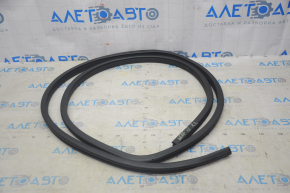Door seal rear left Nissan Leaf 18-