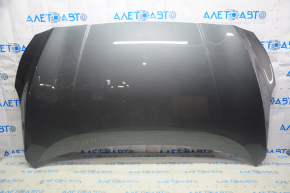 Naked hood Nissan Leaf 18- graphite KAD steel