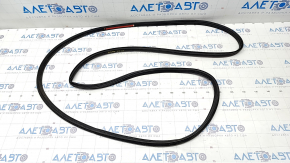 Front right door seal Ford Explorer 20-