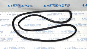 Door seal rear right Ford Explorer 20-
