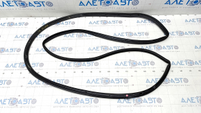 Door seal rear left Ford Explorer 20-
