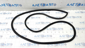 Door seal rear left Ford Explorer 20-