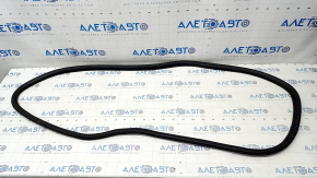 Door seal rear left Ford Explorer 20-