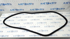 Door seal rear right Ford Explorer 20-