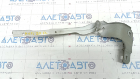 Hood hinge left Ford Explorer 20-