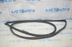 Front left door seal Nissan Leaf 18-