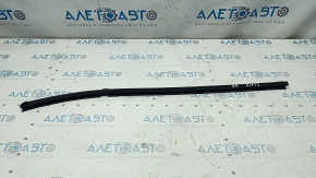 Glass seal inside rear right door Hyundai Elantra AD 17-20