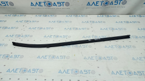 Glass seal inside rear left door Hyundai Elantra AD 17-20
