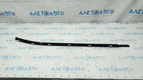 Molding door-glass central rear left Hyundai Elantra AD 17-18 black, micro-cracks
