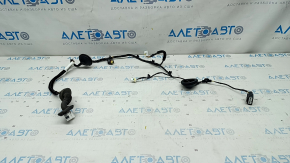 Rear left door wiring Hyundai Elantra AD 17-20