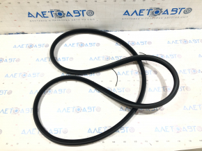 Door seal front left BMW 5 F10 11-16