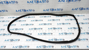 Trunk lid seal Honda Clarity 18-21 usa