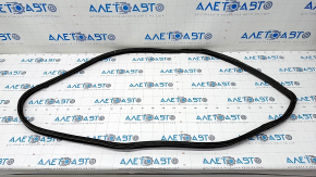 Trunk lid seal Honda Clarity 18-21 usa