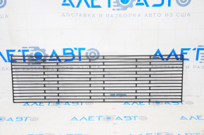 Radiator mesh protective VW Beetle 12-19