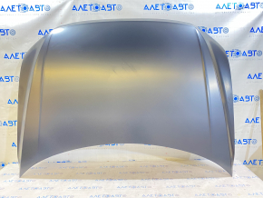 Naked hood VW Tiguan 18-24