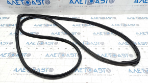 Mazda CX-9 16-23 Front Left Door Seal
