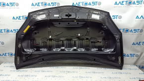 Hood bare Toyota Prius 30 10-15 graphite 8V1, iron, butt