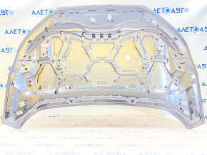 Naked hood Ford Edge 19-