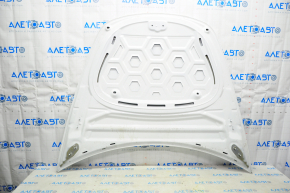 Tesla Model 3 18 Naked Hood - White PPSW Aluminum