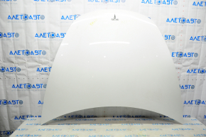 Tesla Model 3 18 Naked Hood - White PPSW Aluminum