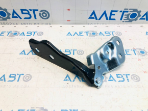 Right hood hinge Tesla Model 3 18-
