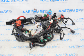 Tesla Model 3 21- RWD Engine Bay Wiring No Power