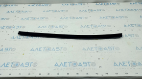 Glass seal inside rear left door Hyundai Santa FE Sport 13-18