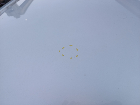 Roof metal Ford C-max MK2 13-18 without hatch, on the body, bumpers