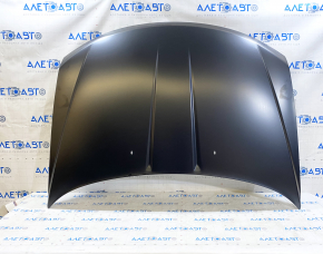 Hood Naked Dodge Journey 11- Steel