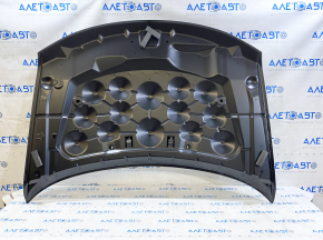 Hood Naked Dodge Journey 11- Steel
