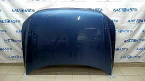 Naked hood VW Tiguan 18- blue LD5L, steel