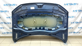 Naked hood VW Tiguan 18- blue LD5L, steel