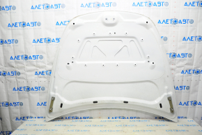 Tesla Model Y 20 Naked Hood - White PPSW Aluminum