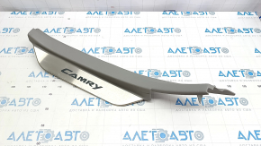 Threshold pad rear left Toyota Camry v40 gray, with chrome pad
