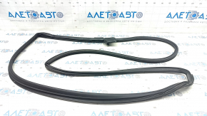 Front Right Door Seal Nissan Rogue 21-23 JP built