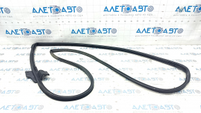 Front left door seal Nissan Rogue 21-23 JP built