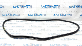 Door seal rear right Nissan Rogue 21-23 JP built
