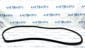 Door seal front right Nissan Rogue 21-23 JP built