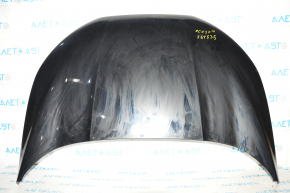 Naked hood Ford Ecosport 18-22 black G1, steel