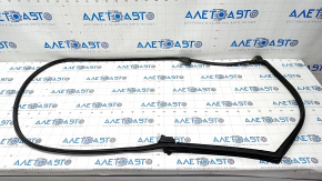 Door seal rear right Toyota Rav4 19-