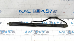 Shock absorber trunk door right Toyota Rav4 19- electric