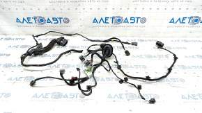 Front left door wiring Ford Edge 15- keyless