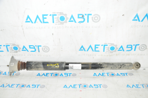 Shock absorber rear right Ford Ecosport 18-22 FWD with support